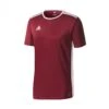 Camiseta Adidas Entrada 18 M/c