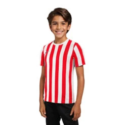 Camiseta Nike Striped Division IV M/c Niño